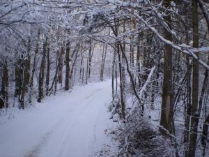 In a winter wonderland